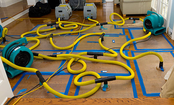 Professional Sewage Cleanup technician working in De Soto, MO